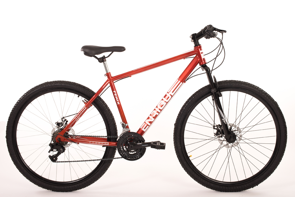 BICI. ENRIQUE MTB R29 FENIX 2.0-3312 | Ronga HOGAR